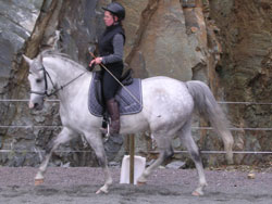 Arbeidstrav
