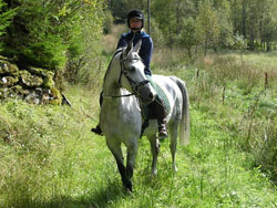 Bilde av Sherry i natur