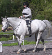 Skritt